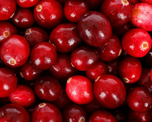 Cranberry gegen Harnwegsinfekte